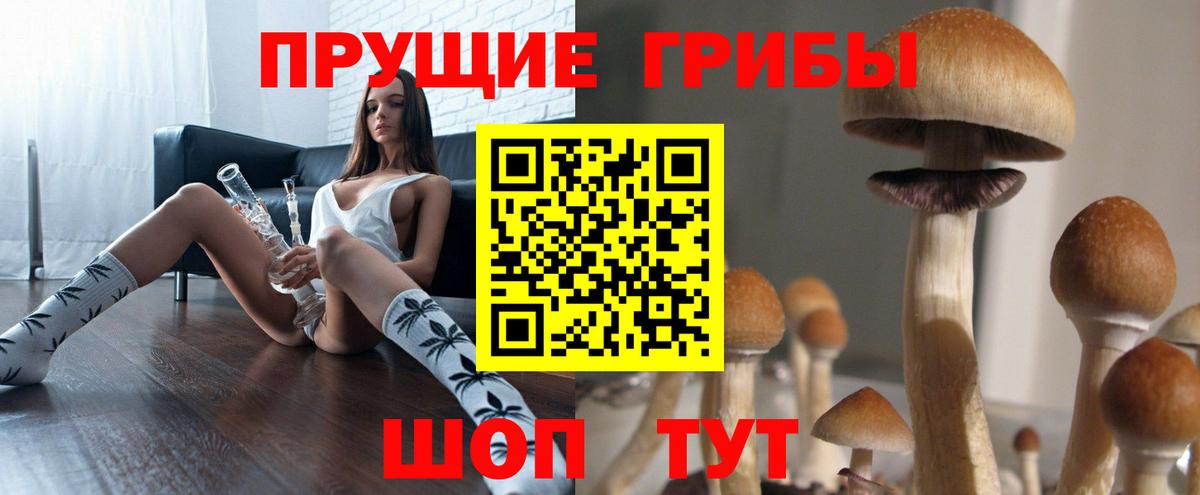 Псилоцибиновые грибы Magic Shrooms  наркотики  Лысьва  Вход с VPN 