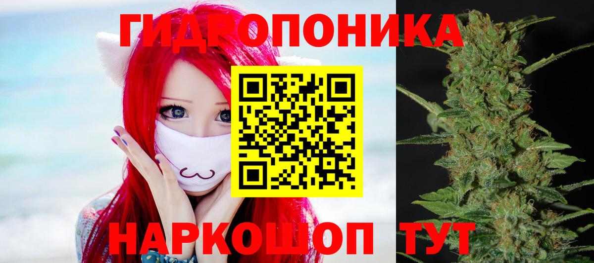 Каннабис Bruce Banner  Вход с VPN  Бошки марихуана план  Лысьва  Марихуана AK-47 